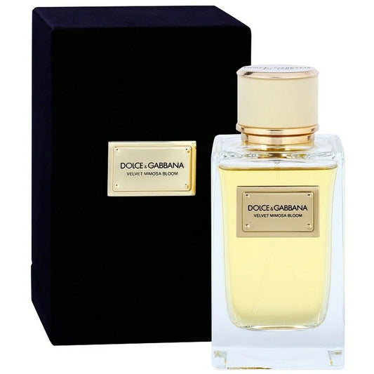 Dolce & Gabbana Velvet Mimosa Bloom D&G 5.0oz Women EDP Spray