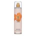 Vince Camuto Bella 8.0oz Women Body Mist Spray