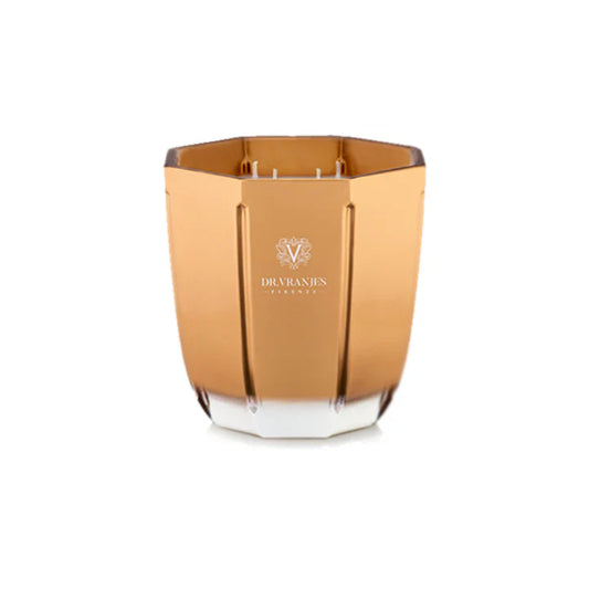 Dr. Vranjes Firenze Oud Nobile 2.8oz Candle
